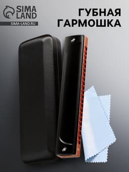 Губная гармошка Music Life T22K тремоло, с футляром