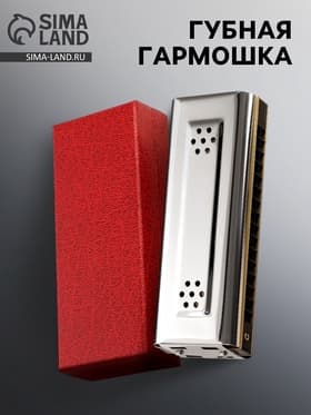 Губная гармошка Music Life T16-2 тремоло, с футляром
