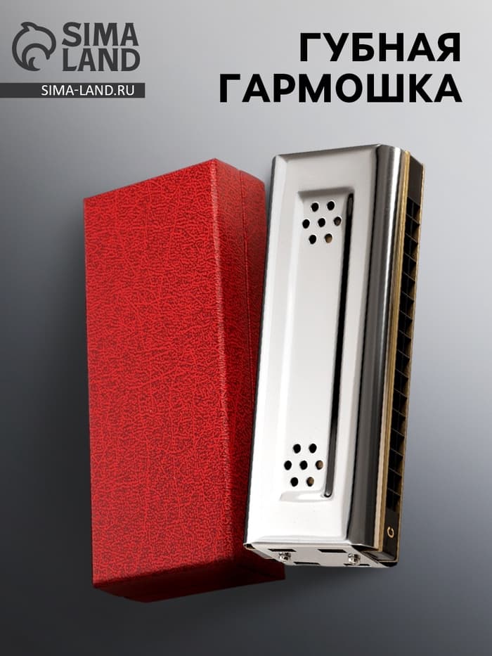 Губная гармошка Music Life T16-2 тремоло, с футляром