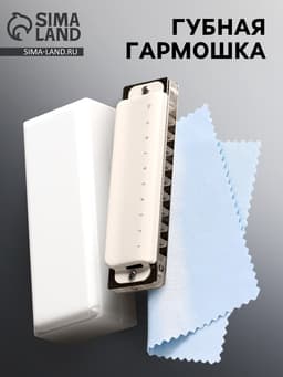 Губная гармошка Music Life T008L C диатоническая, 10 отверстий, с футляром