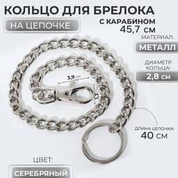 Кольцо для брелока на цепочке, с карабином, d=28 мм, 40 см, цвет серебряный