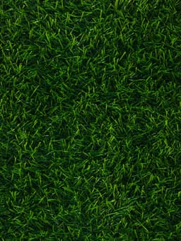 Газон искусственный в рулоне, ворс 10 мм, 1×2 м, зелёный, Greengo