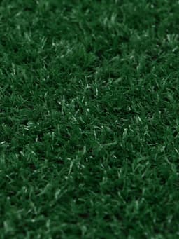 Газон искусственный, ворс 10 мм, 2×25 м, зелёный, Greengo
