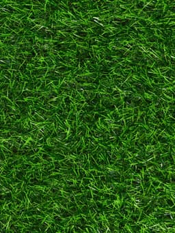 Газон искусственный в рулоне, ворс 30 мм, 1×2 м, зелёный, Greengo