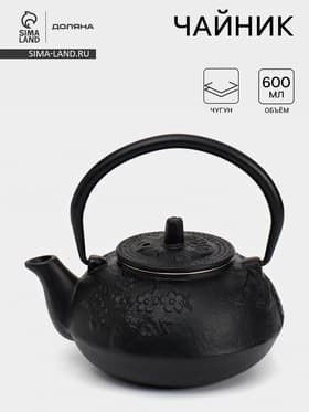 Чайник, 600 мл, с ситом, эмалированное покрытие внутри, чугун, чёрный