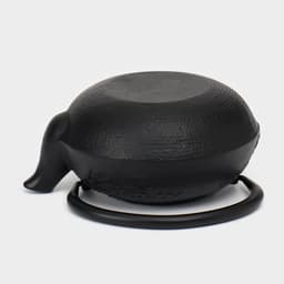 Чайник, 600 мл, с ситом, эмалированное покрытие внутри, чугун, чёрный