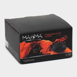 Чайник, 600 мл, с ситом, эмалированное покрытие внутри, чугун, чёрный