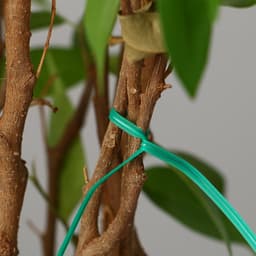 Проволока подвязочная, 10 см, в наборе 100 шт., зелёная, Greengo