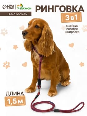 Ринговка для собак, 150×0.6 см, с вертлюгом, красная, синяя