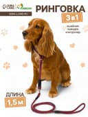 Ринговка для собак, 150×0.6 см, с вертлюгом, красная, синяя