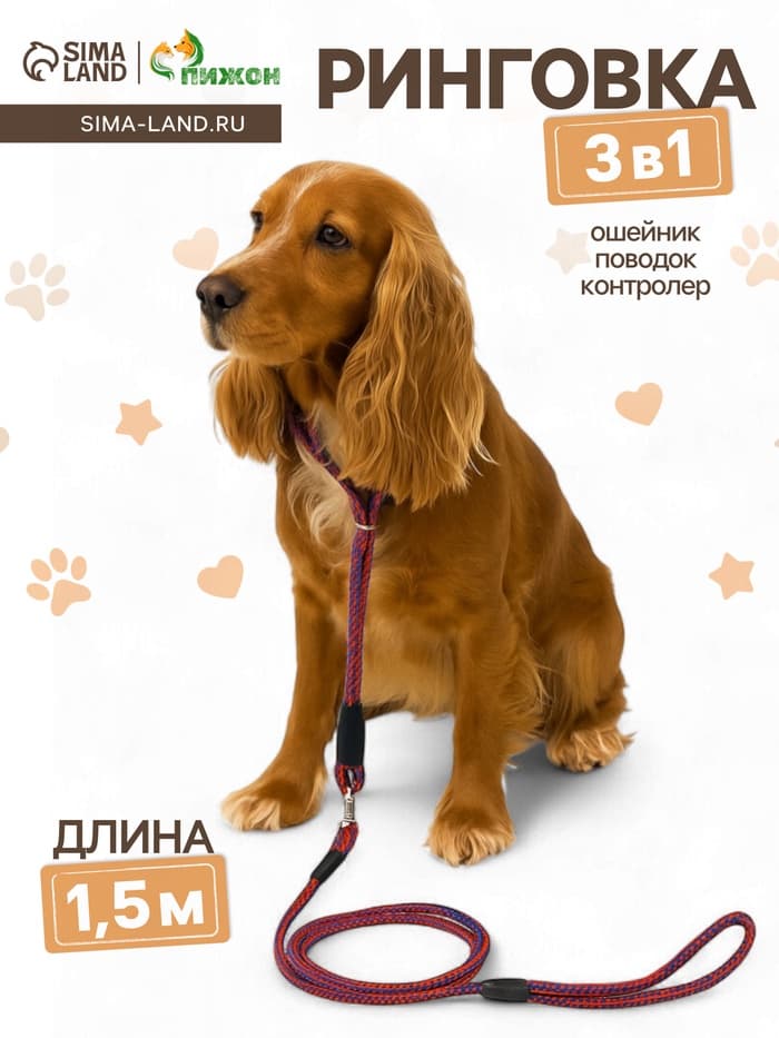 Ринговка для собак, 150×0.6 см, с вертлюгом, красная, синяя