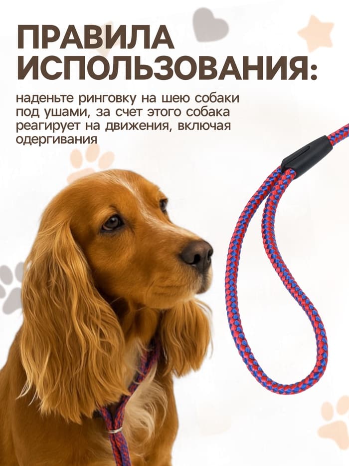 Ринговка для собак, 150×0.6 см, с вертлюгом, красная, синяя