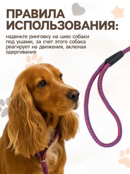 Ринговка для собак, 150×0.6 см, с вертлюгом, красная, синяя