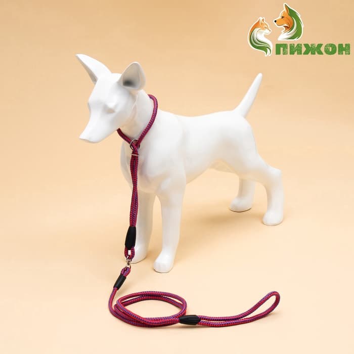 Ринговка для собак, 150×0.6 см, с вертлюгом, красная, синяя