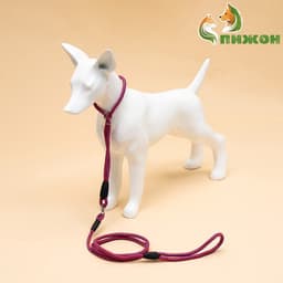 Ринговка для собак, 150×0.6 см, с вертлюгом, красная, синяя