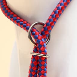 Ринговка для собак, 150×0.6 см, с вертлюгом, красная, синяя