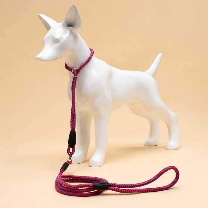 Ринговка для собак, 150×0.6 см, с вертлюгом, красная, синяя