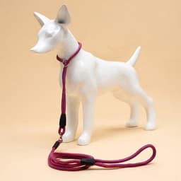 Ринговка для собак, 150×0.6 см, с вертлюгом, красная, синяя