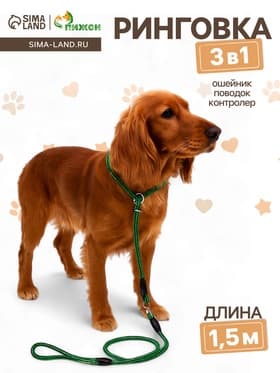Ринговка для собак, 150×0.6 см, с вертлюгом, чёрная, зелёная