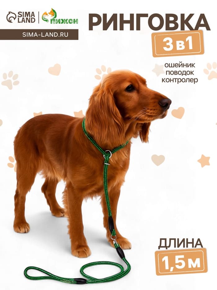 Ринговка для собак, 150×0.6 см, с вертлюгом, чёрная, зелёная