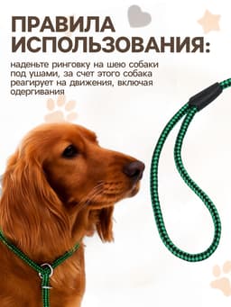 Ринговка для собак, 150×0.6 см, с вертлюгом, чёрная, зелёная