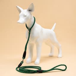 Ринговка для собак, 150×0.6 см, с вертлюгом, чёрная, зелёная