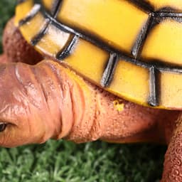 Фигурка полистоун TAKE IT EASY «Черепаха», 11×14×6 см