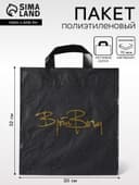 Пакет «Борг» матовый, полиэтиленовый с петлевой ручкой, 30×32 см, 70 мкм