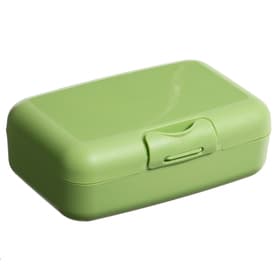 Ланч — бокс Sugar&Spice Honey, 0.7 л, фисташка