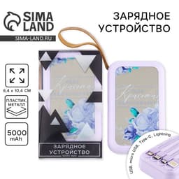 Зарядное устройство «Твоя красота вдохновляет», 5000мА, мод. PB-03, 10.4×6.4 см