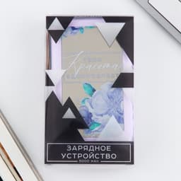 Зарядное устройство «Твоя красота вдохновляет», 5000мА, мод. PB-03, 10.4×6.4 см