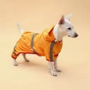 Комбинезон для собак, демисезонный, размер XS, ДС 17-19, Ог 27-29, ОШ 19-21 см, жёлтый