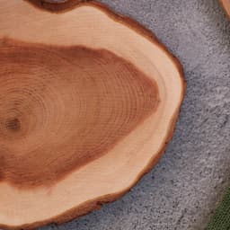 Подставка под кружку, цельная, срез, 8-10 см, можжевельник