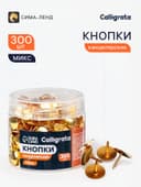 Кнопки канцелярские 12 мм, 300 штук, в пластиковой тубе