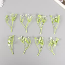 Искусственное растение для творчества «Цикорий», набор 8 шт., белый, 10 см