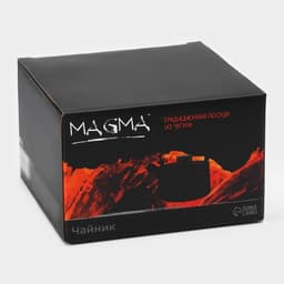 Чайник Magma «Сайгон», 1.1 л, чугун, с ситом, с эмалированным покрытием внутри, индукция, чугун, чёрный