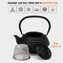 Чайник Magma «Танан», 800 мл, с ситом, с эмалированным покрытием внутри, индукция, чугун, чёрный