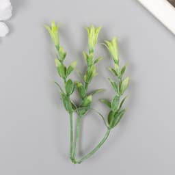 Искусственное растение для творчества «Гиппеастриум», набор 6 шт., светло-зелёный, 11 см