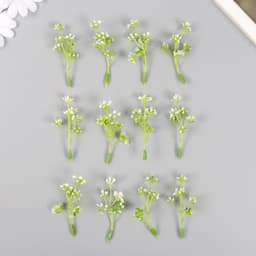 Искусственное растение для творчества «Бруния», набор 12 шт., 7 см