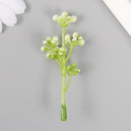 Искусственное растение для творчества «Бруния», набор 12 шт., 7 см