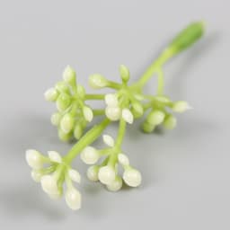 Искусственное растение для творчества «Бруния», набор 12 шт., 7 см