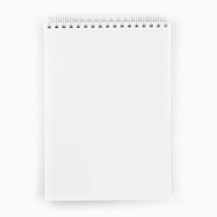 Скетчбук А5, 40 листов, 100 гр «Капибара»