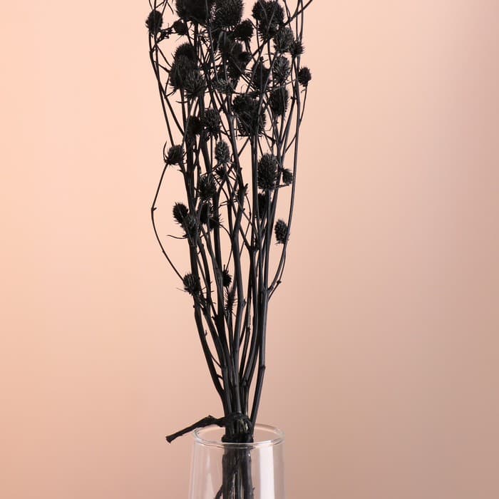 Набор сухоцветов "Эрингиум", банч 5 шт, длина 50 (+/- 6 см), черный