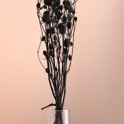 Набор сухоцветов "Эрингиум", банч 5 шт, длина 50 (+/- 6 см), черный