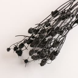 Набор сухоцветов "Эрингиум", банч 5 шт, длина 50 (+/- 6 см), черный