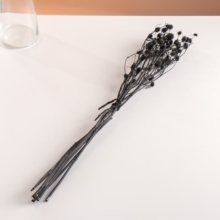 Набор сухоцветов "Эрингиум", банч 5 шт, длина 50 (+/- 6 см), черный
