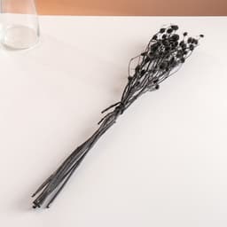 Набор сухоцветов "Эрингиум", банч 5 шт, длина 50 (+/- 6 см), черный