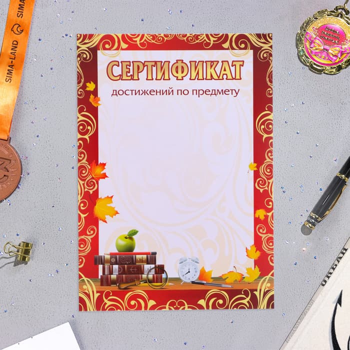 Портфолио в папке, ученика 5 - 9 класса, 8 грамот, А4