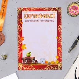 Портфолио в папке, ученика 5 - 9 класса, 8 грамот, А4