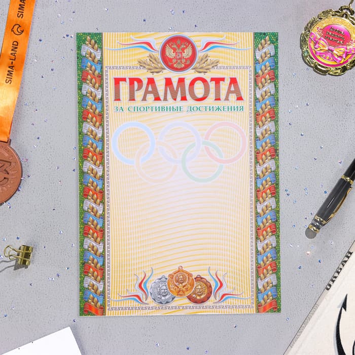 Портфолио в папке, ученика 5 - 9 класса, 8 грамот, А4